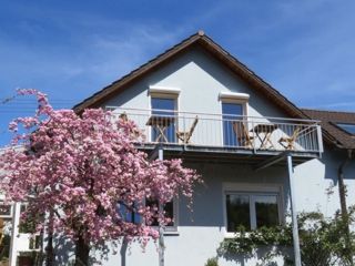 Ferienwohnung Pleisweiler-Oberhofen Das blaue Haus picture 1